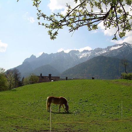 Bachbauernhof Daire Bayerisch Gmain Dış mekan fotoğraf