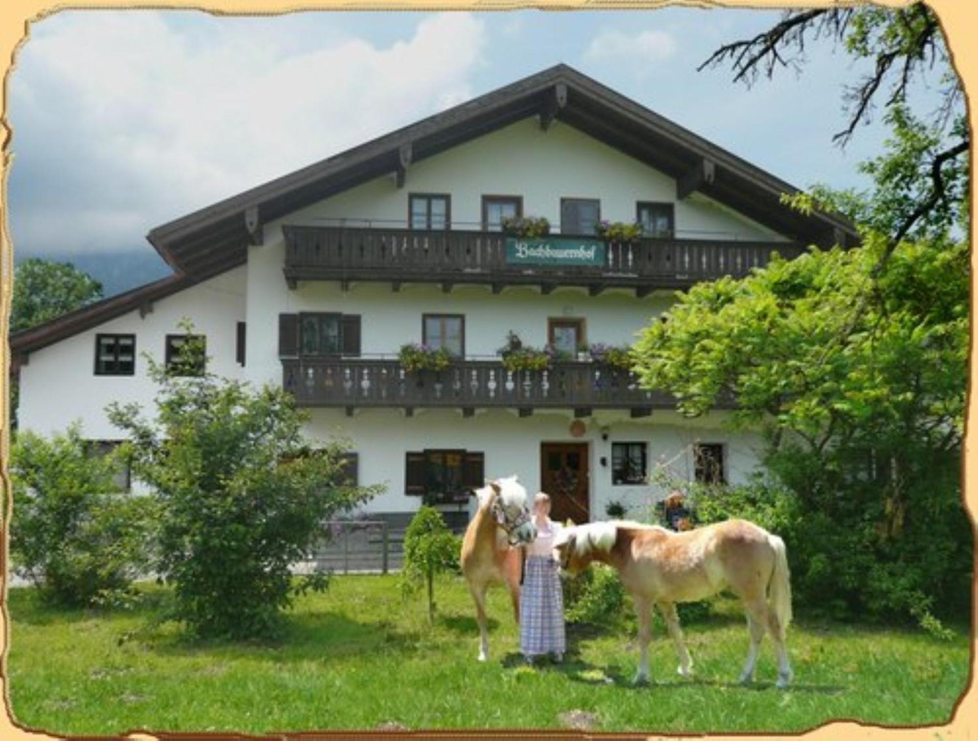 Bachbauernhof Daire Bayerisch Gmain Dış mekan fotoğraf